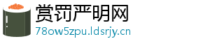 赏罚严明网